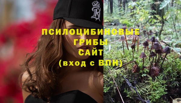 ешки Белоозёрский
