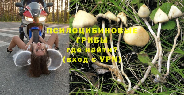 соль ск Белокуриха