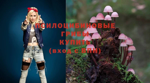 ешки Белоозёрский