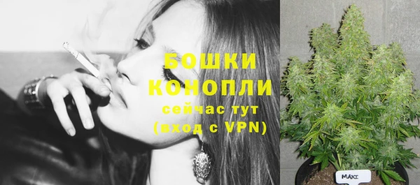 соль ск Белокуриха