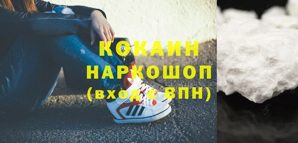 соль ск Белокуриха