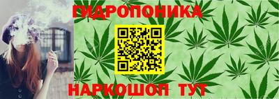 индика Славянск-на-Кубани