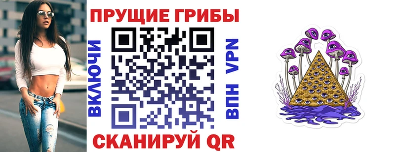 Псилоцибиновые грибы прущие грибы  дарнет шоп  Новый Уренгой 