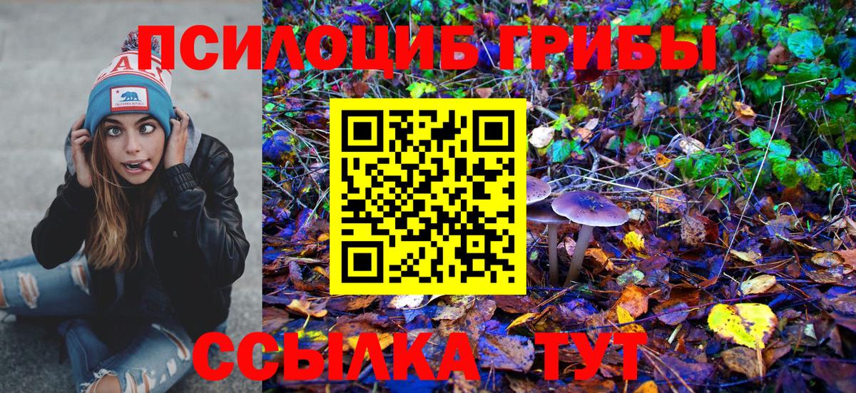 Галлюциногенные грибы GOLDEN TEACHER  Галлюциногенные грибы Cubensis  Новый Уренгой  Вход с VPN 